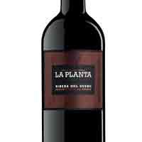 BODEGAS ARZUAGA